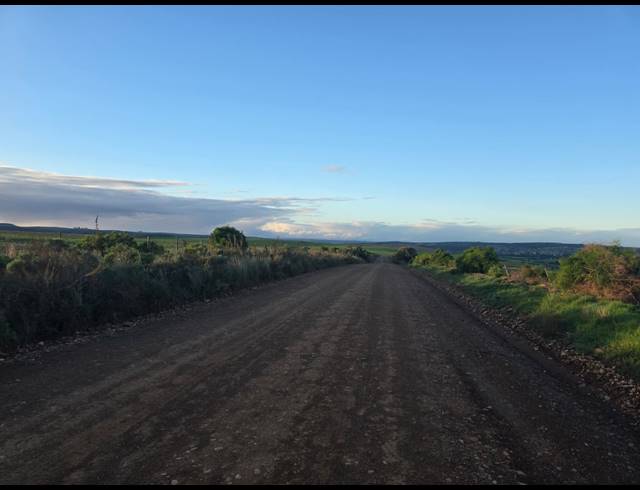 539HA FARM FOR SALE IN RIVERSDALE RURAL